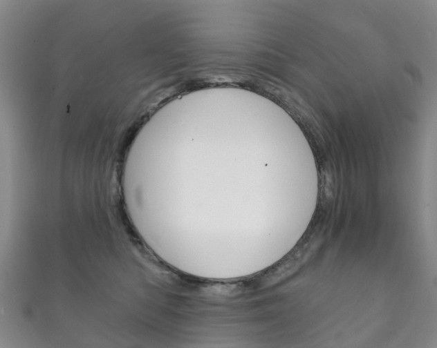 X0000111930422200907271035