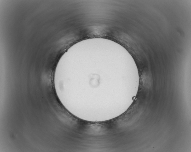 X0000111930423200907271035