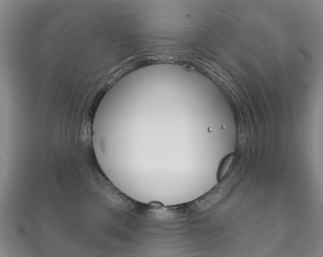 X0000111930425200907271035