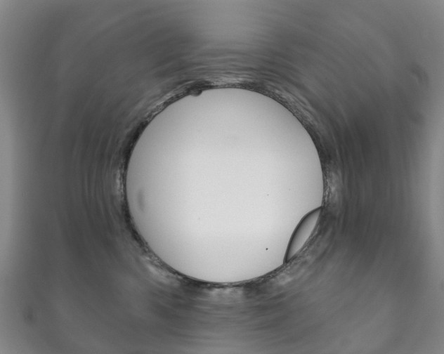 X0000111930426200907271035