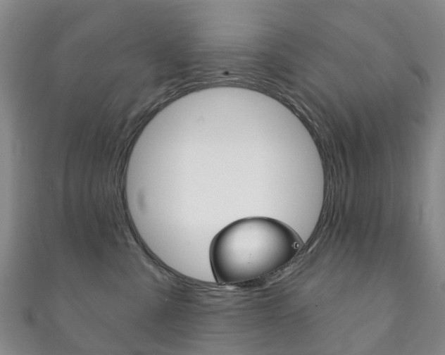 X0000111930427200907271035
