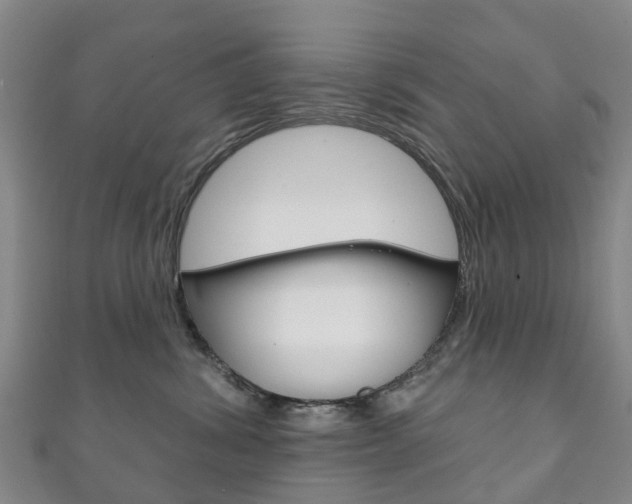 X0000111930428200907271035