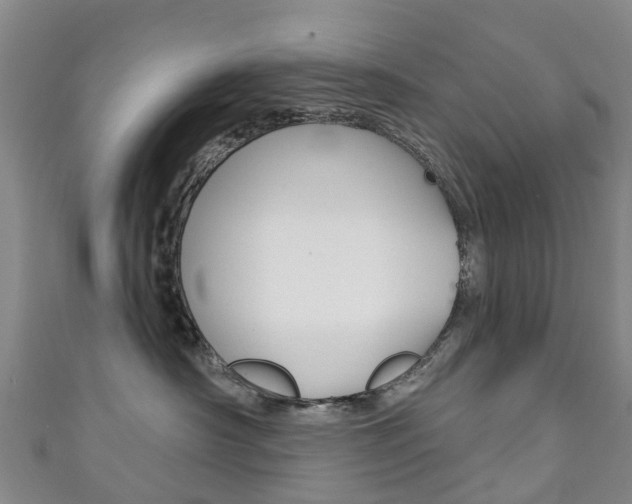 X0000111930430200907271035