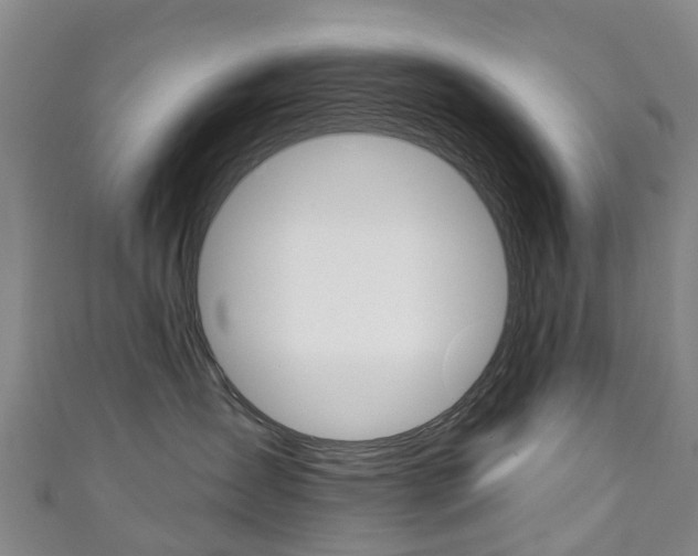 X0000111930431200907271035