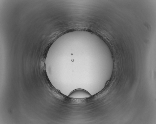 X0000111930432200907271035