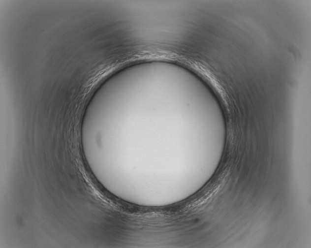 X0000111930433200907271034
