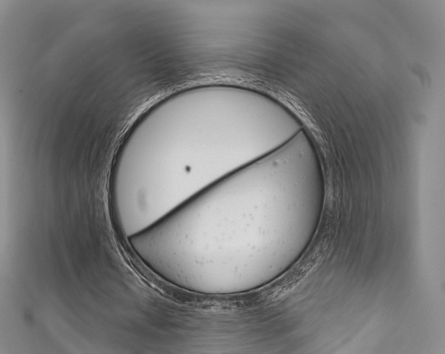 X0000111930434200907271034