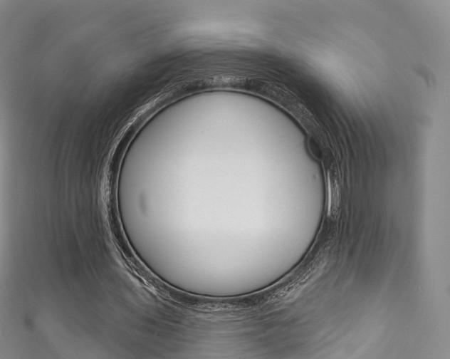 X0000111930435200907271034