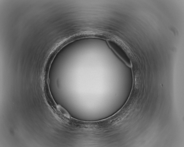 X0000111930436200907271034
