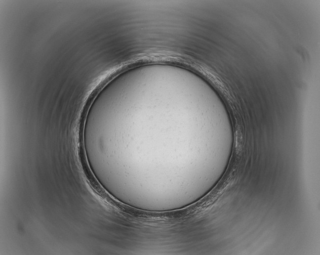 X0000111930438200907271034