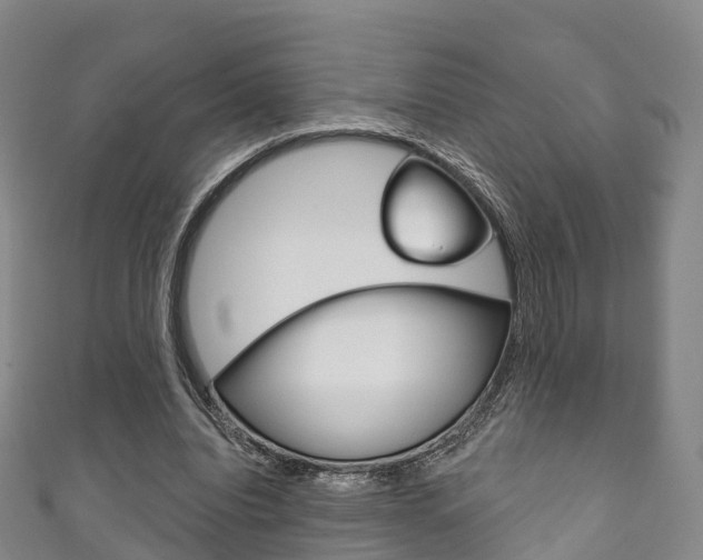 X0000111930440200907271034