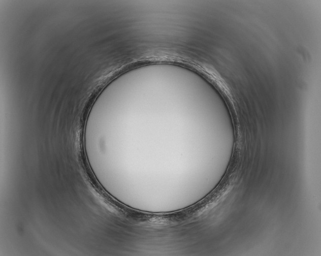 X0000111930441200907271034