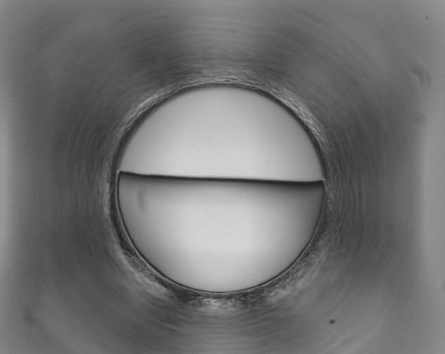 X0000111930442200907271034