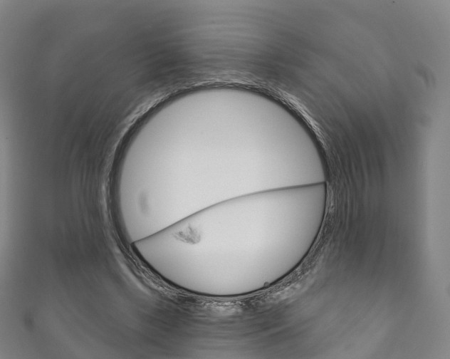 X0000111930443200907271034