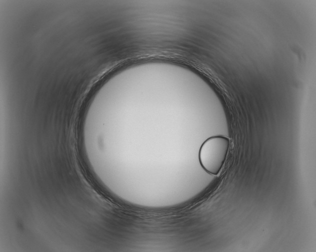 X0000111930444200907271034