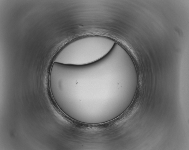 X0000111930445200907271034