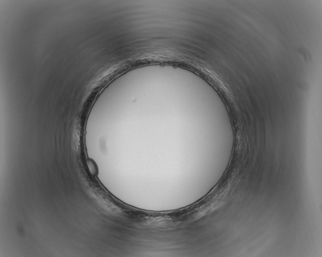 X0000111930446200907271034