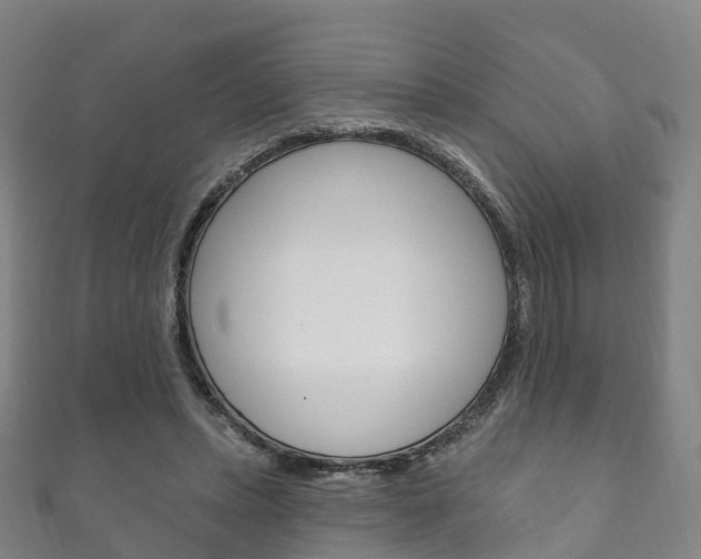 X0000111930447200907271034