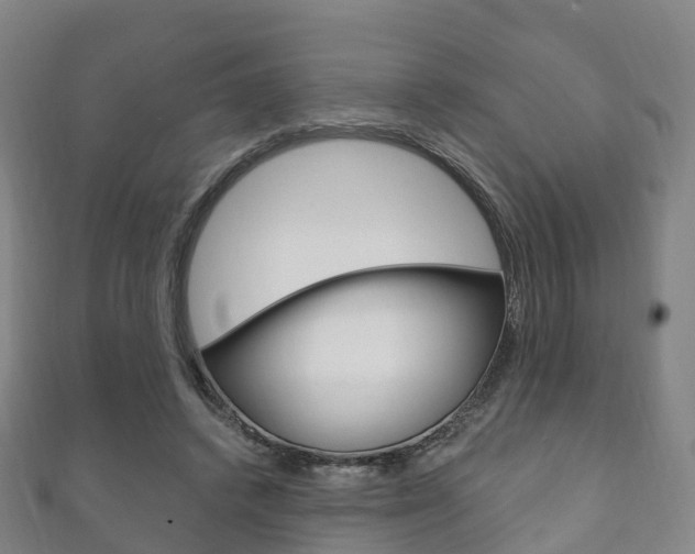 X0000111930448200907271034