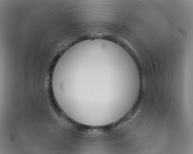 X0000111930451200907271034