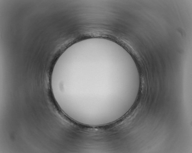 X0000111930453200907271034