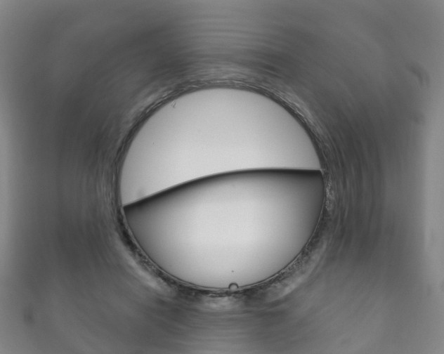 X0000111930454200907271034