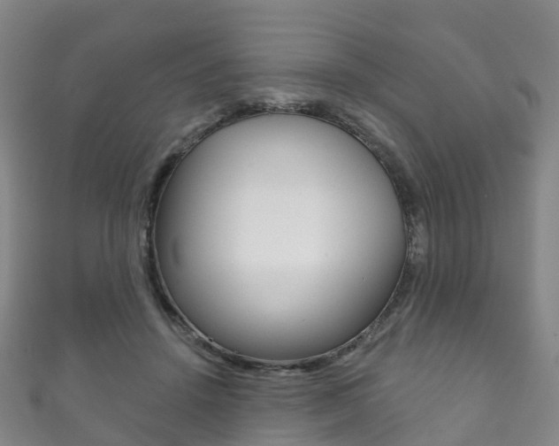 X0000111930456200907271034