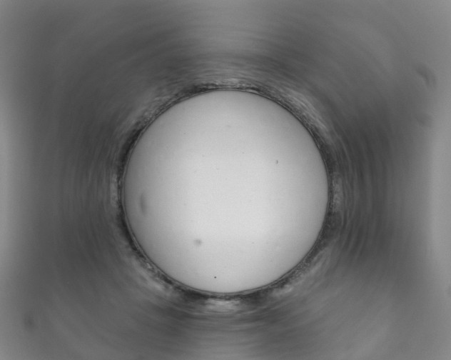 X0000111930457200907271034