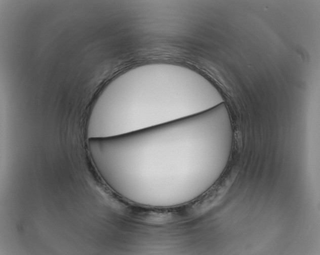 X0000111930458200907271034