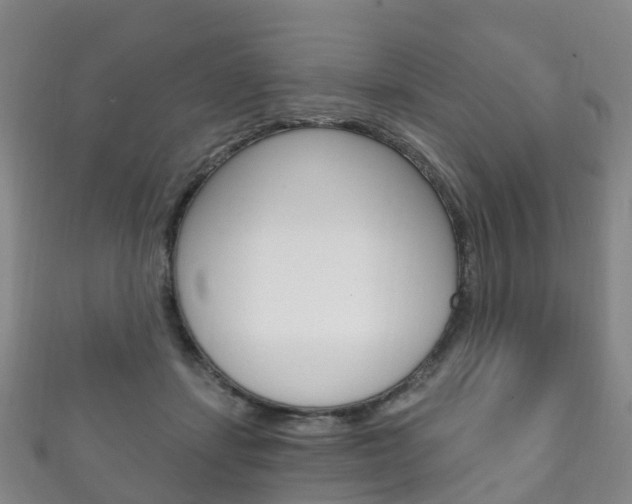 X0000111930459200907271034