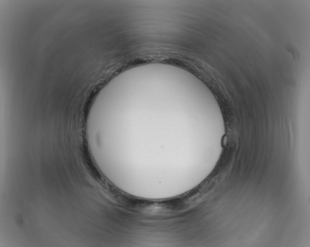 X0000111930460200907271034