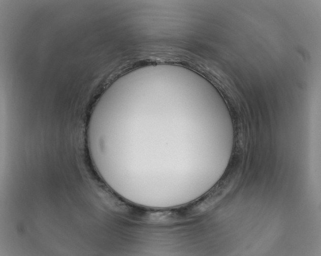 X0000111930461200907271034