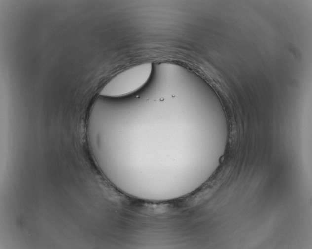 X0000111930469200907271034