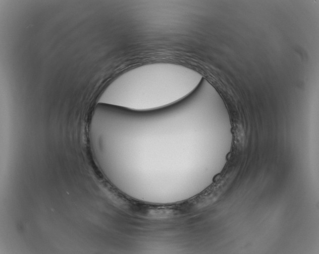 X0000111930470200907271034
