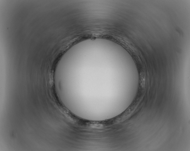 X0000111930471200907271034