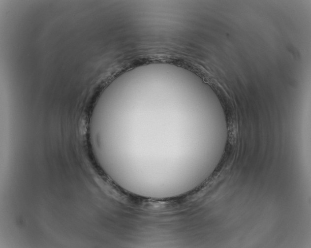 X0000111930472200907271034
