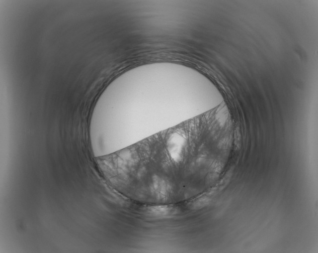 X0000111930473200907271034