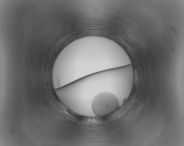 X0000111930475200907271034