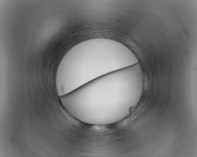 X0000111930477200907271034