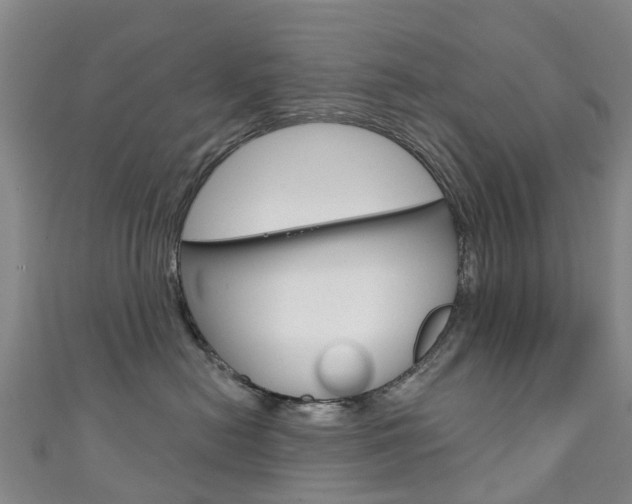 X0000111930478200907271034