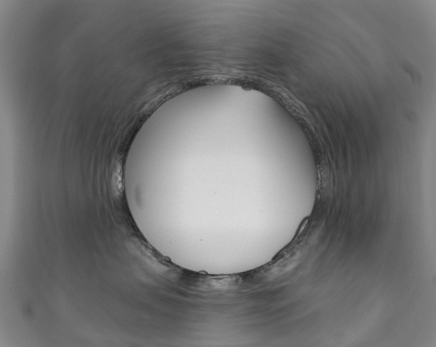 X0000111930479200907271034