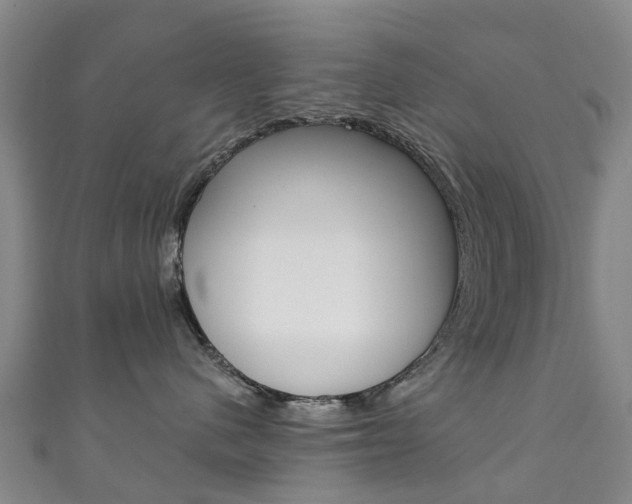 X0000111930480200907271035