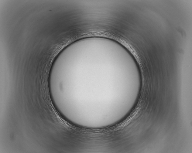 X0000111930481200907271034