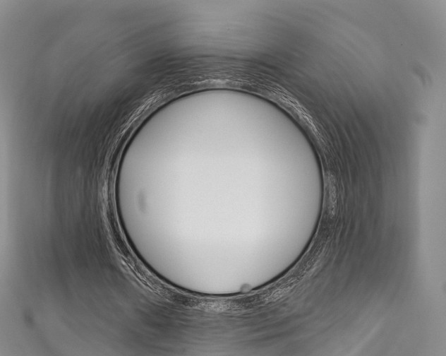 X0000111930482200907271034