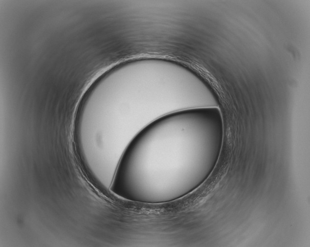 X0000111930484200907271034