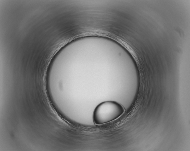 X0000111930485200907271034
