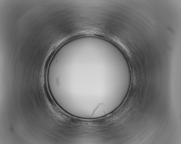 X0000111930486200907271034