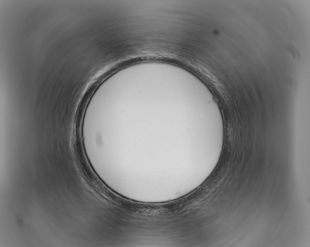 X0000111930488200907271034