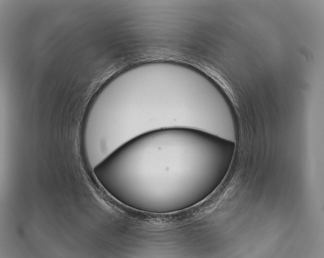 X0000111930489200907271034