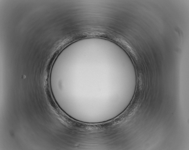 X0000111930490200907271033